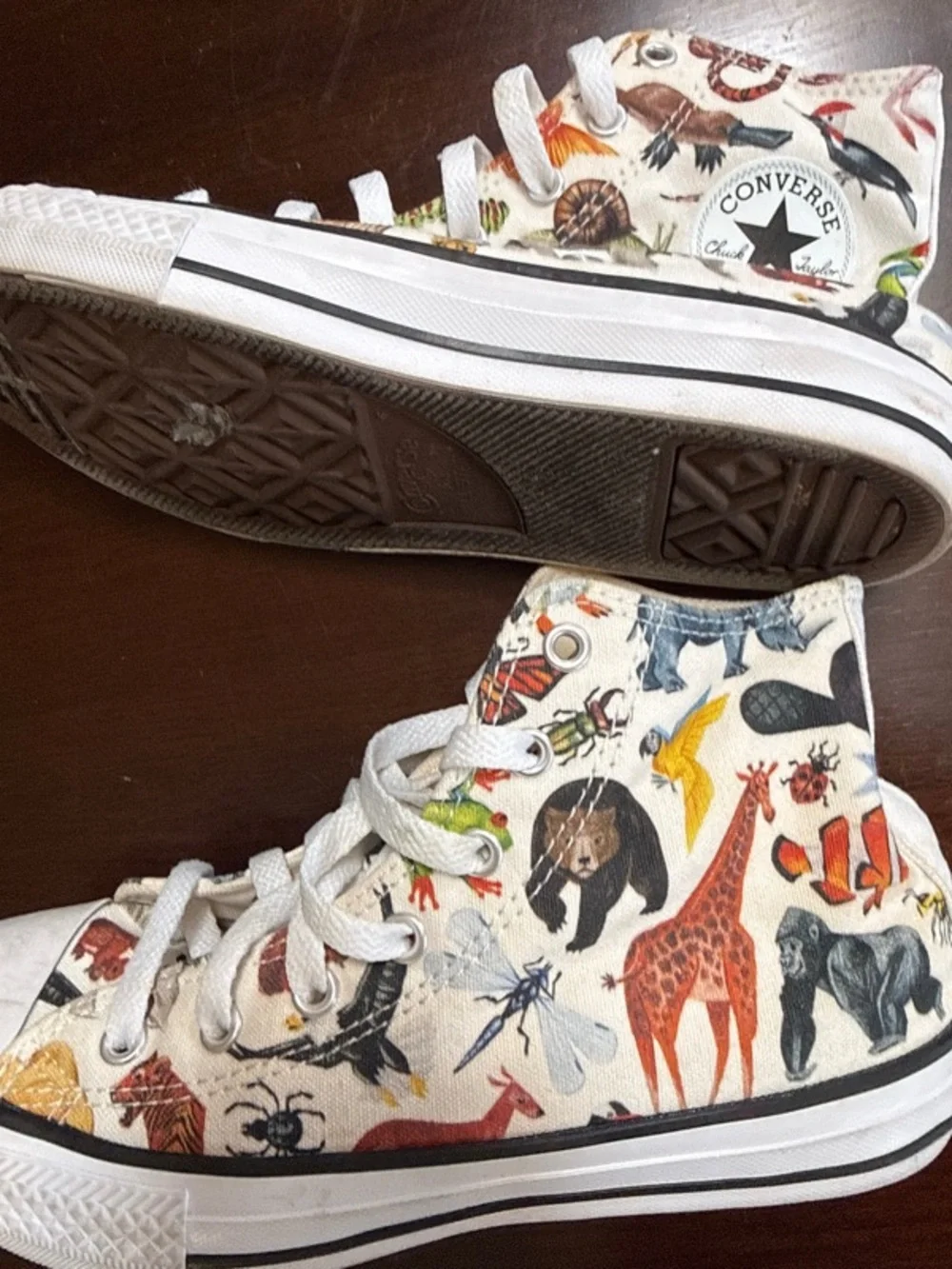 Converse Chuck Taylor All Star Science Class zoological print